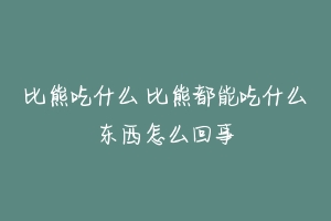 比熊吃什么 比熊都能吃什么东西怎么回事