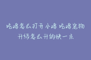 吃鸡怎么打开小鸡 吃鸡宠物升级怎么升的快一点