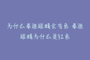 为什么泰迪眼睛会变色 泰迪眼睛为什么是红色