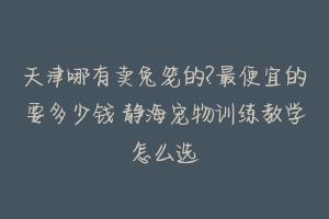 天津哪有卖兔笼的?最便宜的要多少钱 静海宠物训练教学怎么选