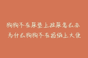 狗狗不在尿垫上拉尿怎么办 为什么狗狗不在报纸上大便