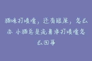 猫咪打喷嚏，还有眼屎，怎么办 小猫总是流鼻涕打喷嚏怎么回事