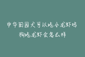 中华田园犬可以吃小龙虾吗 狗吃龙虾会怎么样