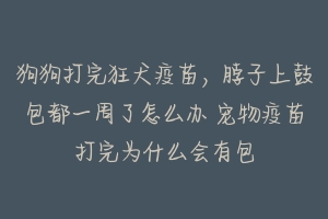 狗狗打完狂犬疫苗，脖子上鼓包都一周了怎么办 宠物疫苗打完为什么会有包