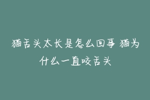 猫舌头太长是怎么回事 猫为什么一直咬舌头