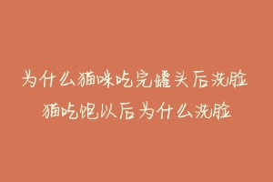 为什么猫咪吃完罐头后洗脸 猫吃饱以后为什么洗脸