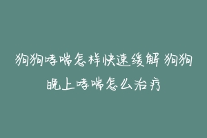 狗狗哮喘怎样快速缓解 狗狗晚上哮喘怎么治疗