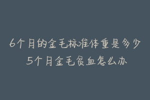 6个月的金毛标准体重是多少 5个月金毛贫血怎么办