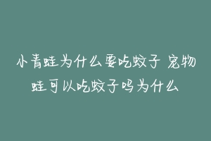 小青蛙为什么要吃蚊子 宠物蛙可以吃蚊子吗为什么