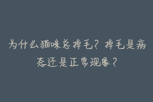 为什么猫咪总掉毛？掉毛是病态还是正常现象？