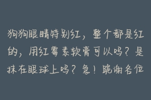 狗狗眼睛特别红，整个都是红的，用红霉素软膏可以吗？是抹在眼球上吗？急！跪谢各位大神 狗眼里发红怎么治疗