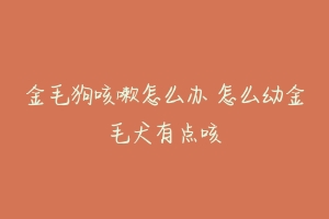 金毛狗咳嗽怎么办 怎么幼金毛犬有点咳