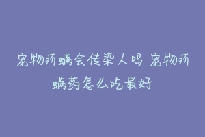 宠物疥螨会传染人吗 宠物疥螨药怎么吃最好