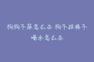 狗狗不尿怎么办 狗不拉稀不喝水怎么办