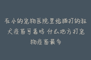 在小的宠物医院里给猫打的狂犬疫苗可靠吗 什么地方打宠物疫苗最多