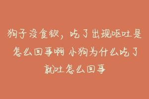 狗子没食欲，吃了出现呕吐是怎么回事啊 小狗为什么吃了就吐怎么回事