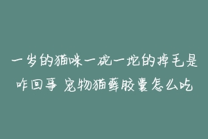 一岁的猫咪一砣一坨的掉毛是咋回事 宠物猫藓胶囊怎么吃