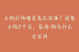 小狗打哆嗦是怎么回事？我家小狗3个月，前两 狗为什么会发抖