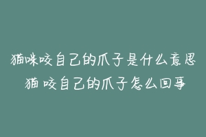 猫咪咬自己的爪子是什么意思 猫 咬自己的爪子怎么回事