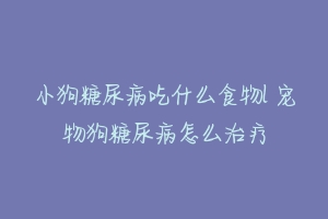 小狗糖尿病吃什么食物l 宠物狗糖尿病怎么治疗