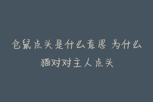 仓鼠点头是什么意思 为什么猫对对主人点头