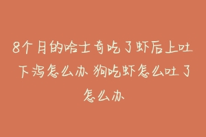 8个月的哈士奇吃了虾后上吐下泻怎么办 狗吃虾怎么吐了怎么办