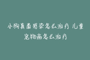 小狗真菌感染怎么治疗 儿童宠物病怎么治疗