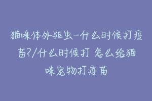 猫咪体外驱虫-什么时候打疫苗?/什么时候打 怎么给猫咪宠物打疫苗