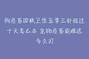 狗疫苗四联卫佳五第三针超过十天怎么办 宠物疫苗能推迟多久打