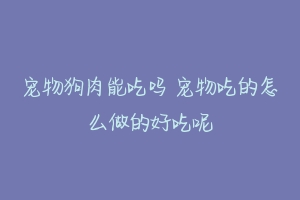 宠物狗肉能吃吗 宠物吃的怎么做的好吃呢