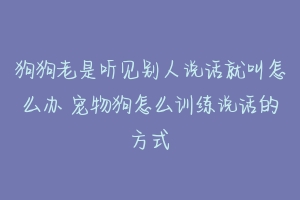 狗狗老是听见别人说话就叫怎么办 宠物狗怎么训练说话的方式