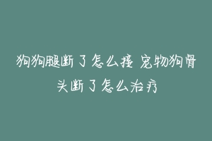 狗狗腿断了怎么接 宠物狗骨头断了怎么治疗