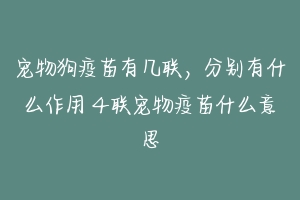 宠物狗疫苗有几联，分别有什么作用 4联宠物疫苗什么意思