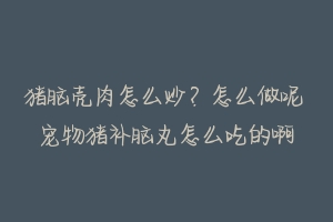 猪脑壳肉怎么炒？怎么做呢 宠物猪补脑丸怎么吃的啊