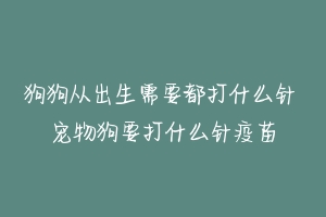 狗狗从出生需要都打什么针 宠物狗要打什么针疫苗