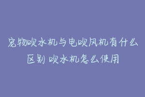 宠物吹水机与电吹风机有什么区别 吹水机怎么使用