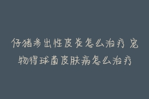 仔猪渗出性皮炎怎么治疗 宠物得球菌皮肤病怎么治疗