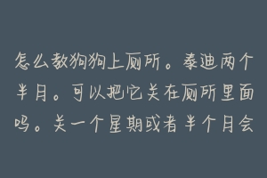 怎么教狗狗上厕所。泰迪两个半月。可以把它关在厕所里面吗。关一个星期或者半个月会学会吗 如何训练宠物在狗厕所