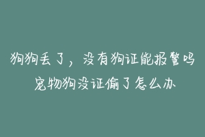 狗狗丢了，没有狗证能报警吗 宠物狗没证偷了怎么办