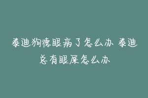 泰迪狗德眼病了怎么办 泰迪总有眼屎怎么办