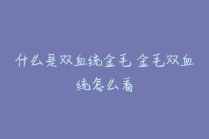 什么是双血统金毛 金毛双血统怎么看