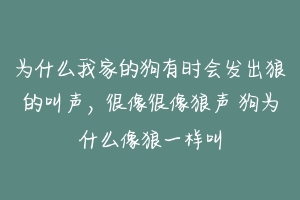 为什么我家的狗有时会发出狼的叫声，很像很像狼声 狗为什么像狼一样叫