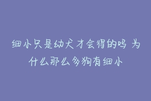 细小只是幼犬才会得的吗 为什么那么多狗有细小