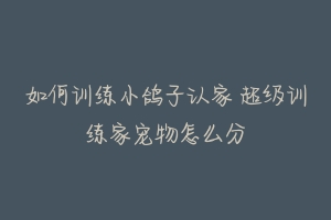 如何训练小鸽子认家 超级训练家宠物怎么分