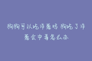 狗狗可以吃洋葱吗 狗吃了洋葱会中毒怎么办