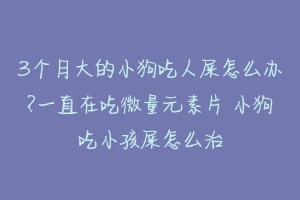 3个月大的小狗吃人屎怎么办?一直在吃微量元素片 小狗吃小孩屎怎么治