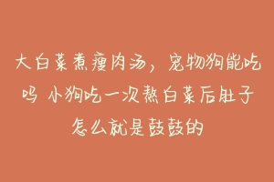 大白菜煮瘦肉汤，宠物狗能吃吗 小狗吃一次熬白菜后肚子怎么就是鼓鼓的