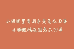 小猫眼里有泪水是怎么回事 小猫眼睛流泪怎么回事