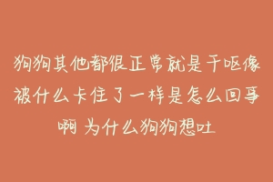 狗狗其他都很正常就是干呕像被什么卡住了一样是怎么回事啊 为什么狗狗想吐