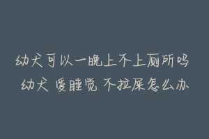 幼犬可以一晚上不上厕所吗 幼犬 爱睡觉 不拉屎怎么办